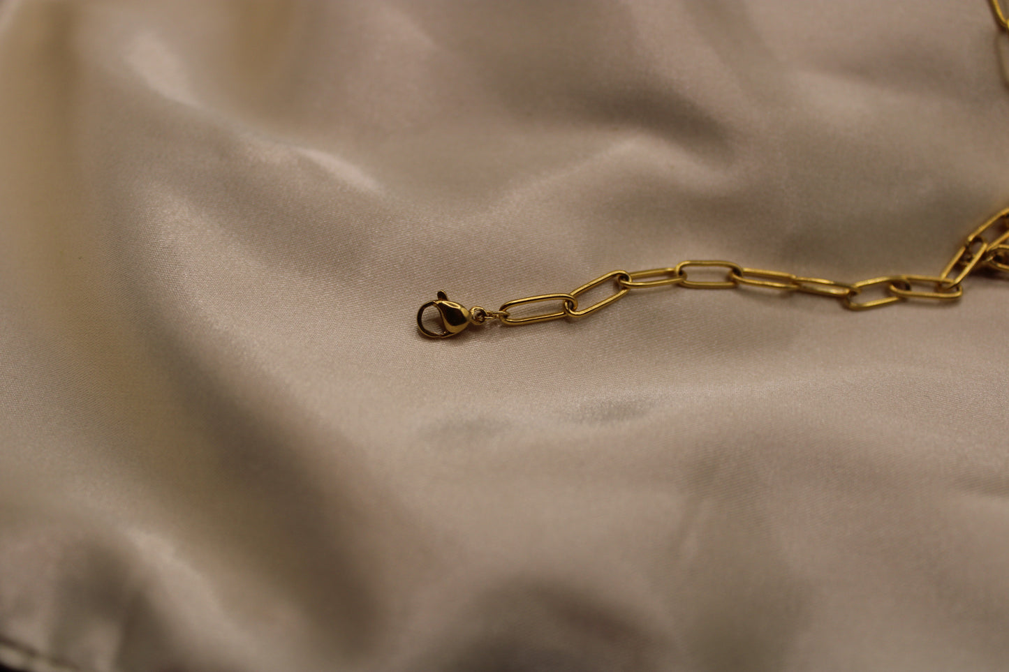 Elegante ketting van zoetwaterparels en carneool, afgewerkt met goudkleurig RVS.