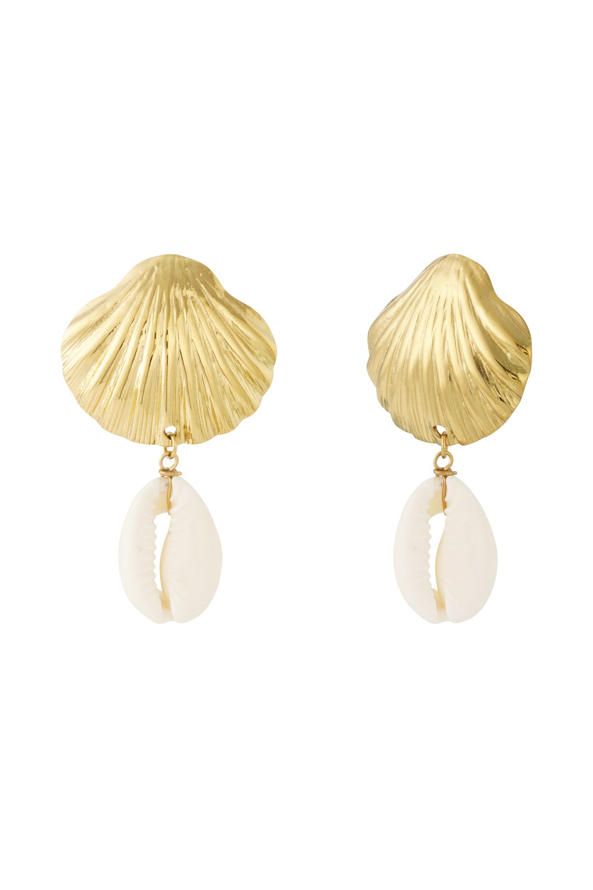 Shell and Shell Earring