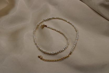 Ketting van stainless steel met een luxe zoetwaterparel en gouden afwerking.