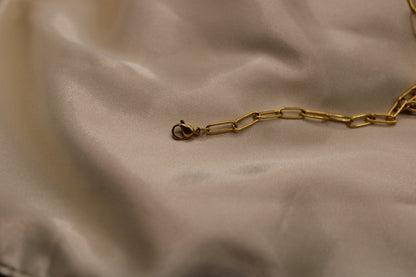 Elegante ketting van zoetwaterparels en carneool, afgewerkt met goudkleurig RVS.
