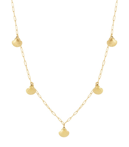 Shell Long Necklace