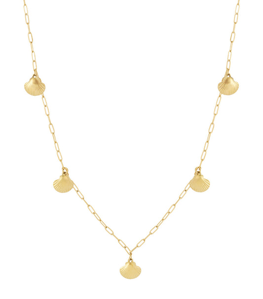 Shell Long Necklace
