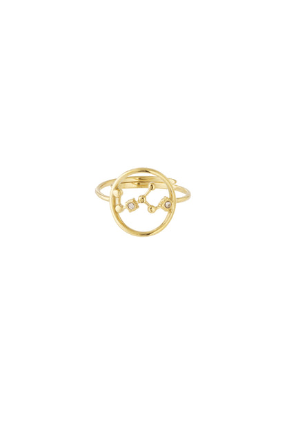 12 Zodiac Rings